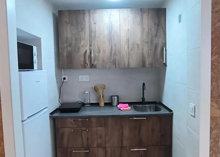 Acebo Elite Apartment *